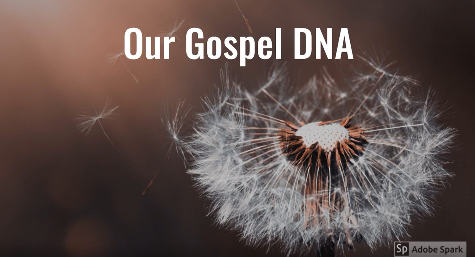 Gospel DNA video pic